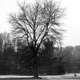 Image for article titled Shooting Challenge: Spring Gallery 2